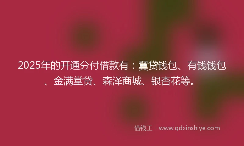 2025年的开通分付借款有：翼贷钱包、有钱钱包、金满堂贷、森泽商城、银杏花等。