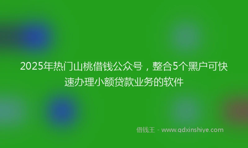 2025年热门山桃借钱公众号，整合5个黑户可快速办理小额贷款业务的软件