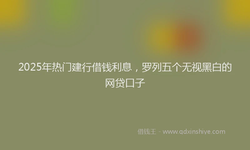 2025年热门建行借钱利息，罗列五个无视黑白的网贷口子