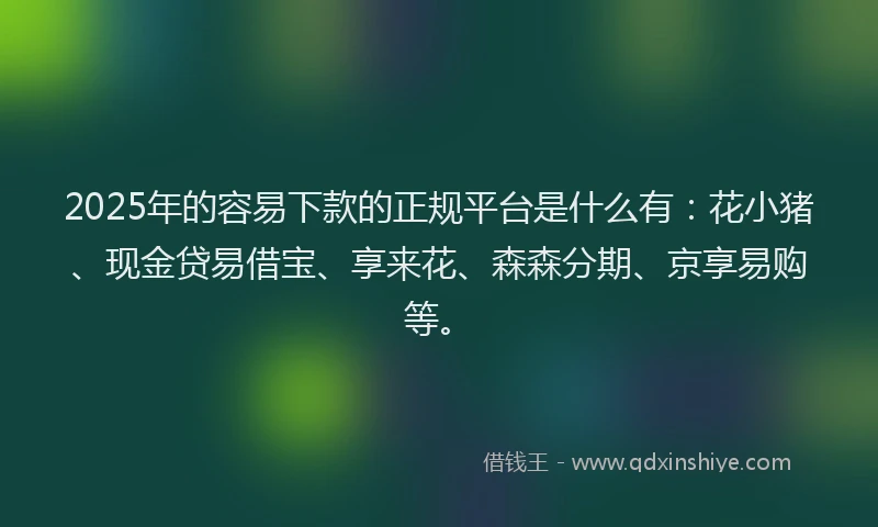 2025年的容易下款的正规平台是什么有：花小猪、现金贷易借宝、享来花、森森分期、京享易购等。