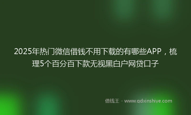 2025年热门微信借钱不用下载的有哪些APP，梳理5个百分百下款无视黑白户网贷口子