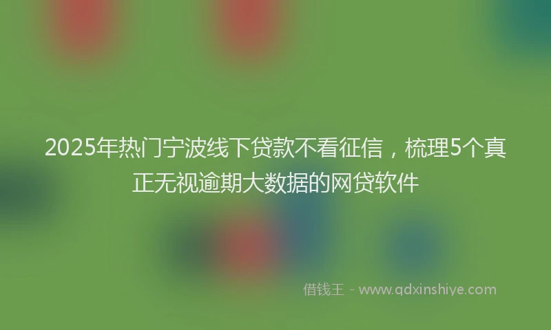 2025年热门宁波线下贷款不看征信，梳理5个真正无视逾期大数据的网贷软件