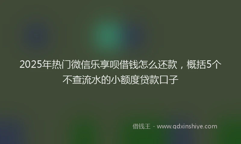 2025年热门微信乐享呗借钱怎么还款，概括5个不查流水的小额度贷款口子