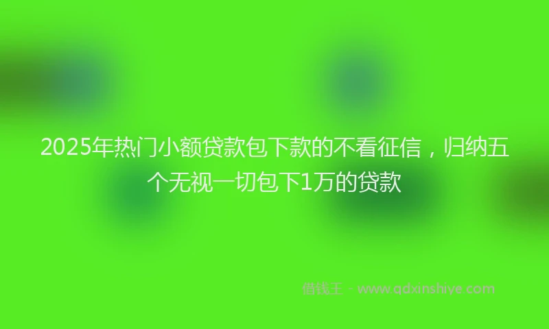 2025年热门小额贷款包下款的不看征信，归纳五个无视一切包下1万的贷款