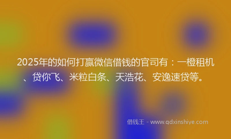 2025年的如何打赢微信借钱的官司有：一橙租机、贷你飞、米粒白条、天浩花、安逸速贷等。
