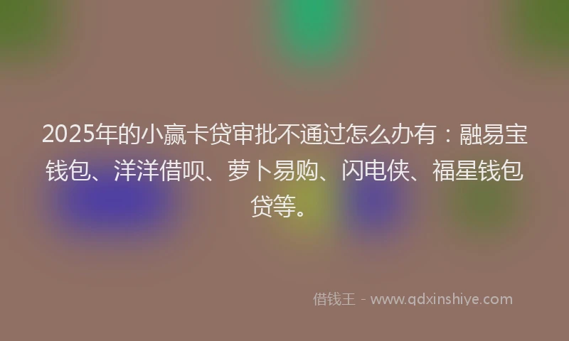 2025年的小赢卡贷审批不通过怎么办有：融易宝钱包、洋洋借呗、萝卜易购、闪电侠、福星钱包贷等。