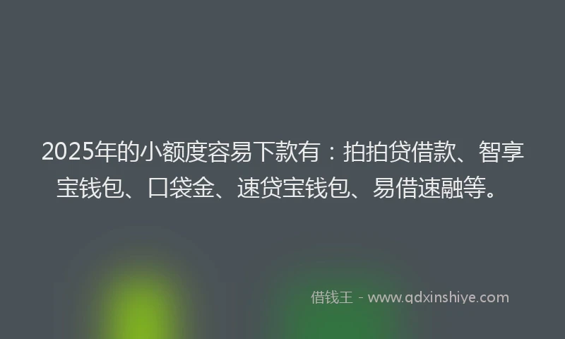 2025年的小额度容易下款有：拍拍贷借款、智享宝钱包、口袋金、速贷宝钱包、易借速融等。