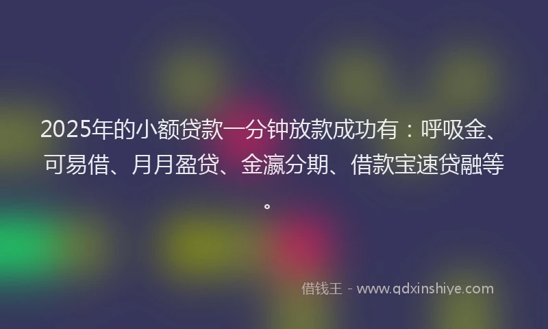 2025年的小额贷款一分钟放款成功有：呼吸金、可易借、月月盈贷、金瀛分期、借款宝速贷融等。