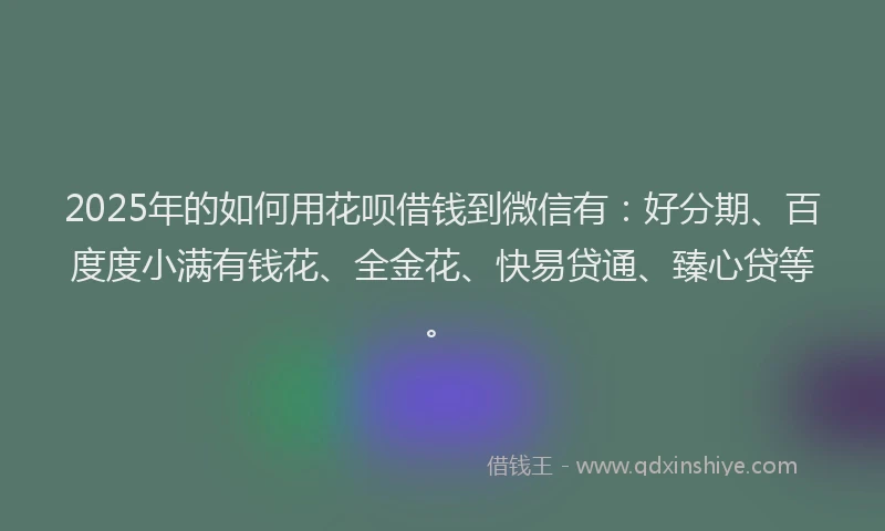 2025年的如何用花呗借钱到微信有：好分期、百度度小满有钱花、全金花、快易贷通、臻心贷等。