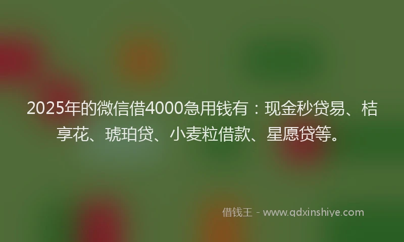 2025年的微信借4000急用钱有：现金秒贷易、桔享花、琥珀贷、小麦粒借款、星愿贷等。