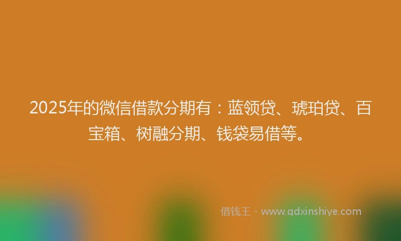 2025年的微信借款分期有：蓝领贷、琥珀贷、百宝箱、树融分期、钱袋易借等。