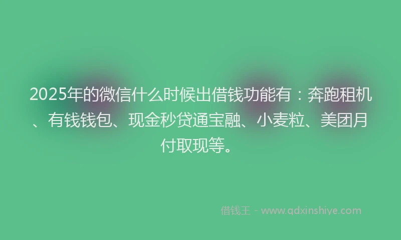 2025年的微信什么时候出借钱功能有：奔跑租机、有钱钱包、现金秒贷通宝融、小麦粒、美团月付取现等。