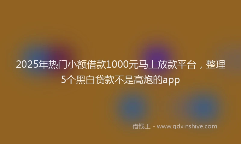 2025年热门小额借款1000元马上放款平台，整理5个黑白贷款不是高炮的app