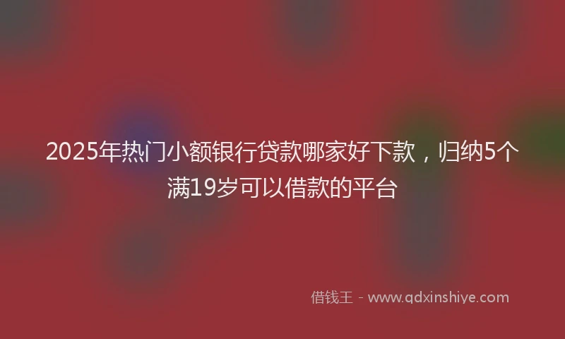 2025年热门小额银行贷款哪家好下款，归纳5个满19岁可以借款的平台