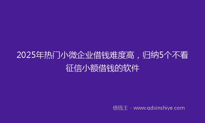 2025年热门小微企业借钱难度高，归纳5个不看征信小额借钱的软件