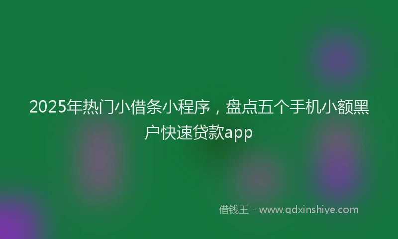 2025年热门小借条小程序，盘点五个手机小额黑户快速贷款app