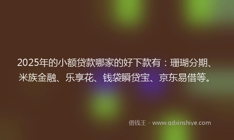 2025年的小额贷款哪家的好下款有：珊瑚分期、米族金融、乐享花、钱袋瞬贷宝、京东易借等。