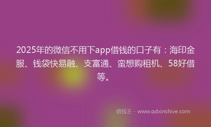 2025年的微信不用下app借钱的口子有：海印金服、钱袋快易融、支富通、蛮想购租机、58好借等。
