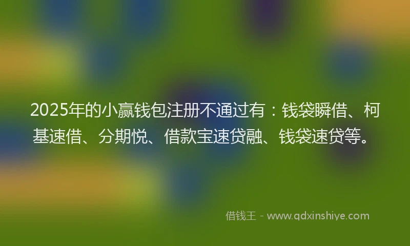 2025年的小赢钱包注册不通过有：钱袋瞬借、柯基速借、分期悦、借款宝速贷融、钱袋速贷等。