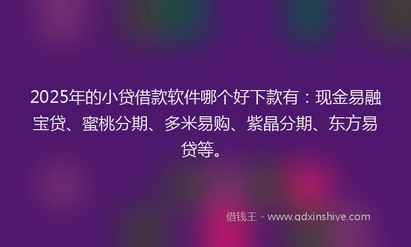 2025年的小贷借款软件哪个好下款有：现金易融宝贷、蜜桃分期、多米易购、紫晶分期、东方易贷等。
