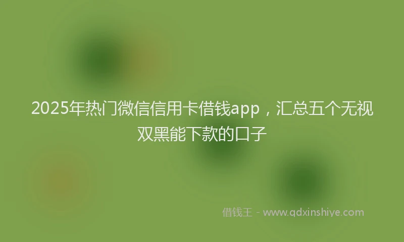 2025年热门微信信用卡借钱app，汇总五个无视双黑能下款的口子