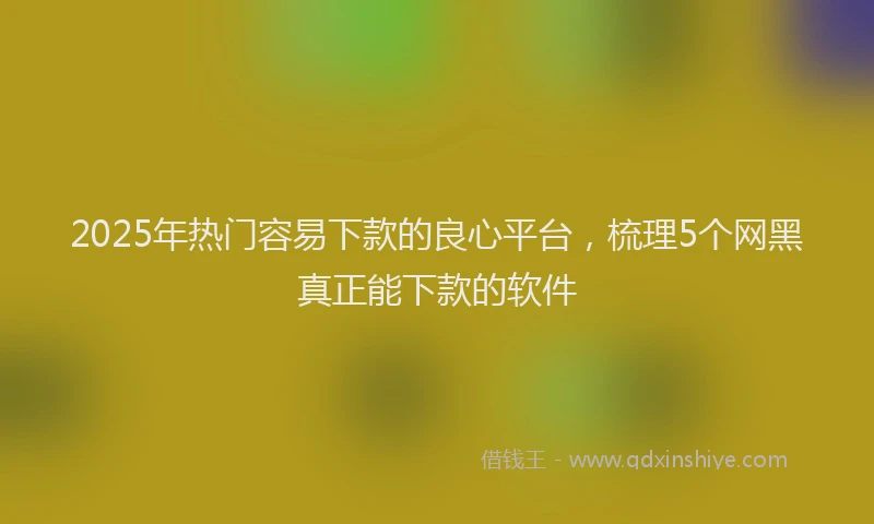2025年热门容易下款的良心平台，梳理5个网黑真正能下款的软件