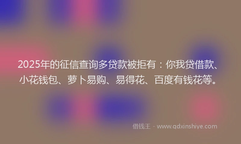 2025年的征信查询多贷款被拒有：你我贷借款、小花钱包、萝卜易购、易得花、百度有钱花等。