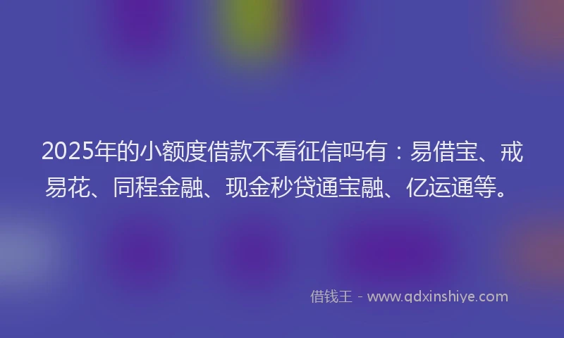 2025年的小额度借款不看征信吗有：易借宝、戒易花、同程金融、现金秒贷通宝融、亿运通等。