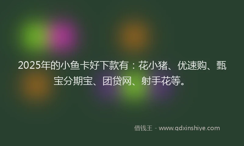 2025年的小鱼卡好下款有：花小猪、优速购、甄宝分期宝、团贷网、射手花等。