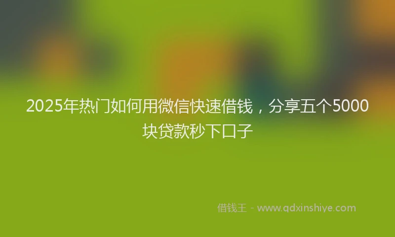 2025年热门如何用微信快速借钱，分享五个5000块贷款秒下口子