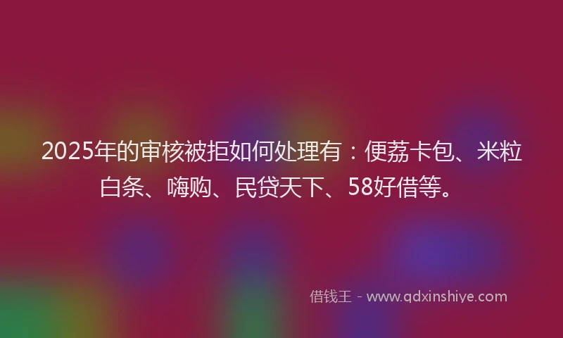 2025年的审核被拒如何处理有：便荔卡包、米粒白条、嗨购、民贷天下、58好借等。