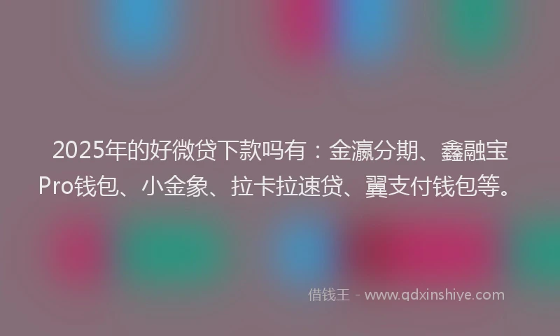 2025年的好微贷下款吗有：金瀛分期、鑫融宝Pro钱包、小金象、拉卡拉速贷、翼支付钱包等。