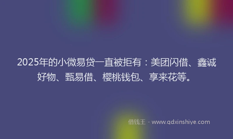 2025年的小微易贷一直被拒有：美团闪借、鑫诚好物、甄易借、樱桃钱包、享来花等。