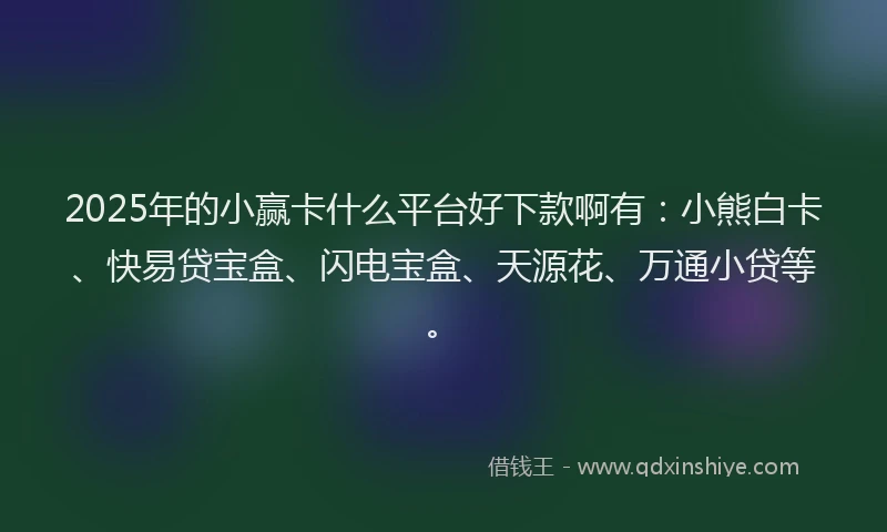 2025年的小赢卡什么平台好下款啊有：小熊白卡、快易贷宝盒、闪电宝盒、天源花、万通小贷等。