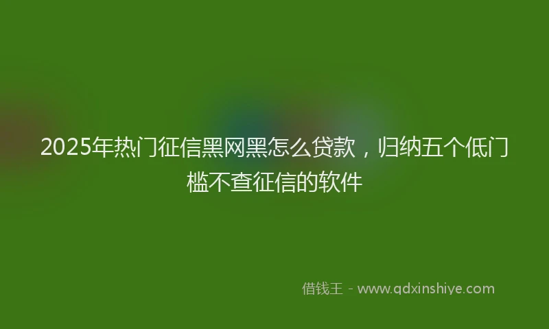 2025年热门征信黑网黑怎么贷款，归纳五个低门槛不查征信的软件