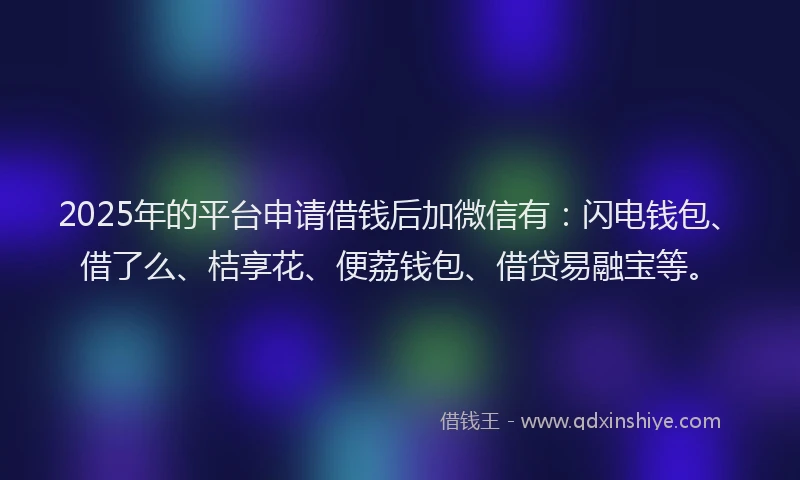 2025年的平台申请借钱后加微信有：闪电钱包、借了么、桔享花、便荔钱包、借贷易融宝等。