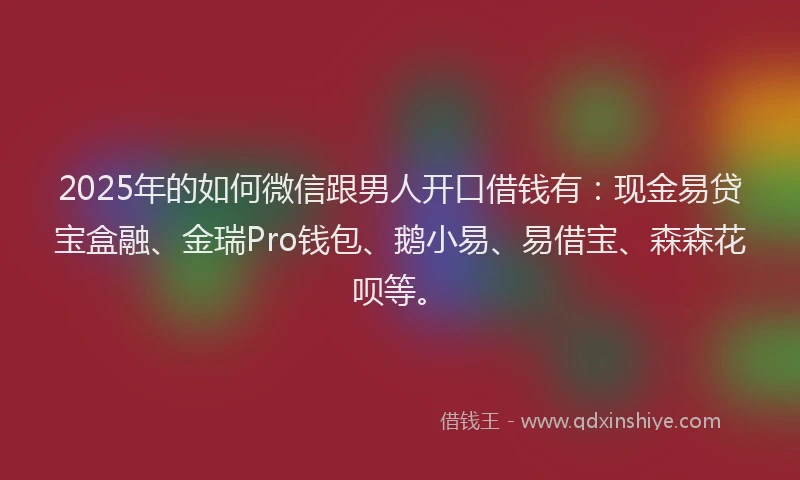 2025年的如何微信跟男人开口借钱有：现金易贷宝盒融、金瑞Pro钱包、鹅小易、易借宝、森森花呗等。