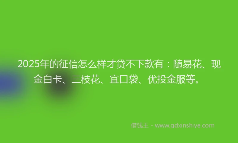 2025年的征信怎么样才贷不下款有：随易花、现金白卡、三枝花、宜口袋、优投金服等。