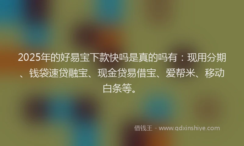 2025年的好易宝下款快吗是真的吗有：现用分期、钱袋速贷融宝、现金贷易借宝、爱帮米、移动白条等。