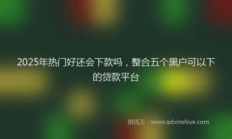 2025年热门好还会下款吗，整合五个黑户可以下的贷款平台