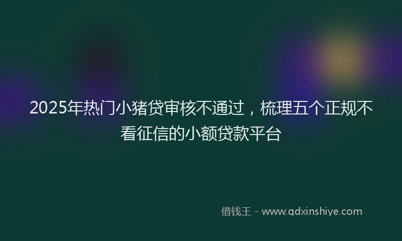 2025年热门小猪贷审核不通过，梳理五个正规不看征信的小额贷款平台