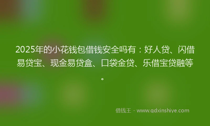 2025年的小花钱包借钱安全吗有：好人贷、闪借易贷宝、现金易贷盒、口袋金贷、乐借宝贷融等。