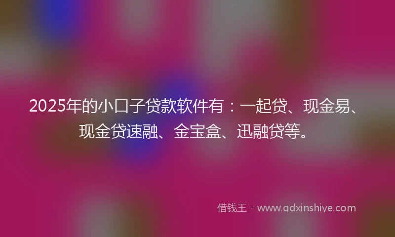 2025年的小口子贷款软件有：一起贷、现金易、现金贷速融、金宝盒、迅融贷等。