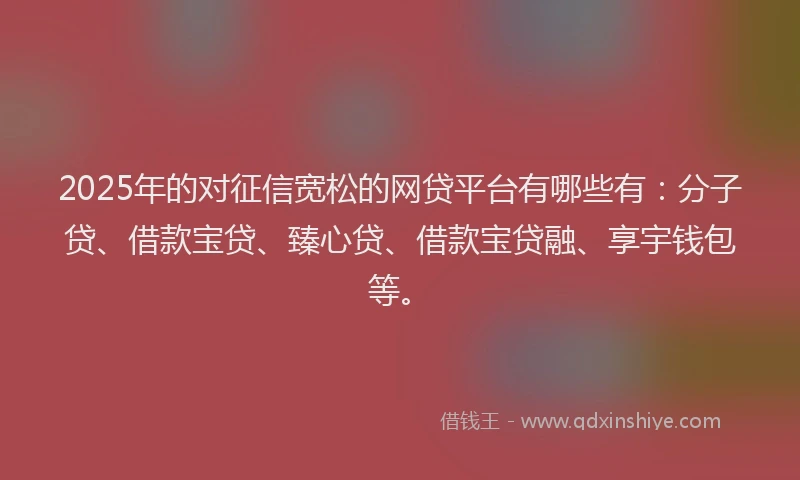 2025年的对征信宽松的网贷平台有哪些有：分子贷、借款宝贷、臻心贷、借款宝贷融、享宇钱包等。
