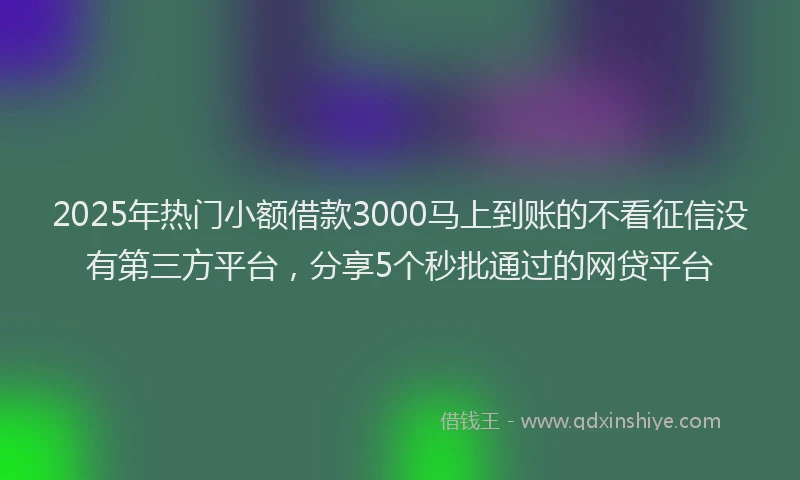 2025年热门小额借款3000马上到账的不看征信没有第三方平台，分享5个秒批通过的网贷平台