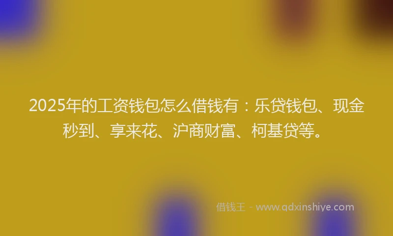 2025年的工资钱包怎么借钱有：乐贷钱包、现金秒到、享来花、沪商财富、柯基贷等。
