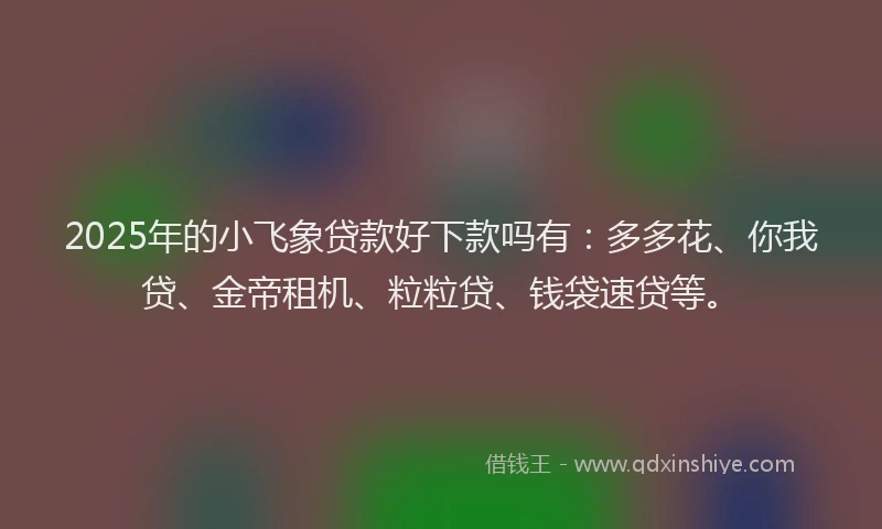 2025年的小飞象贷款好下款吗有：多多花、你我贷、金帝租机、粒粒贷、钱袋速贷等。