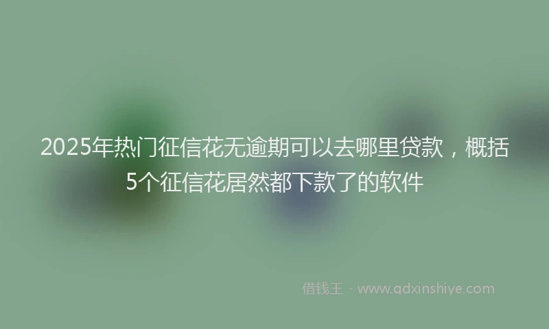 2025年热门征信花无逾期可以去哪里贷款，概括5个征信花居然都下款了的软件
