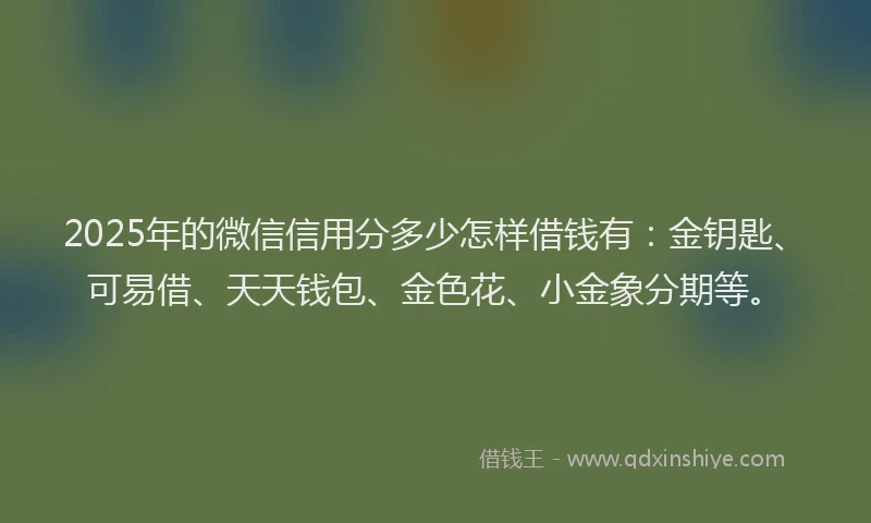 2025年的微信信用分多少怎样借钱有：金钥匙、可易借、天天钱包、金色花、小金象分期等。