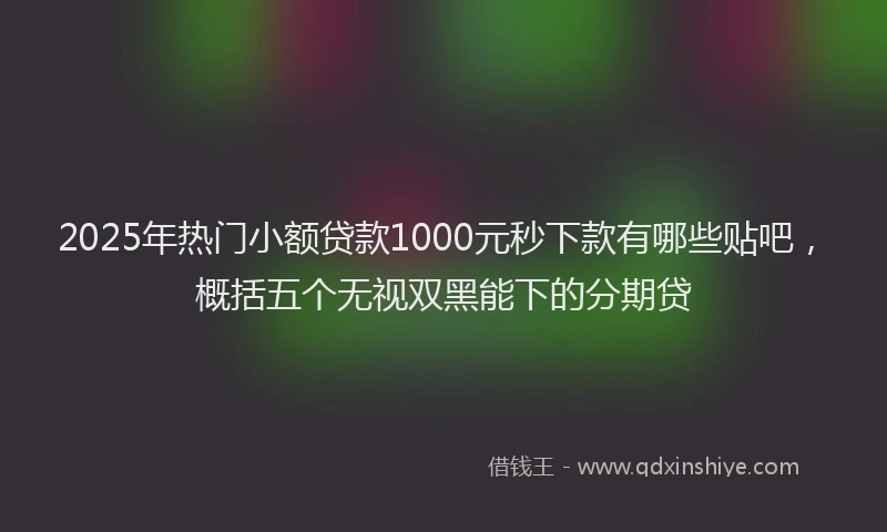 2025年热门小额贷款1000元秒下款有哪些贴吧，概括五个无视双黑能下的分期贷